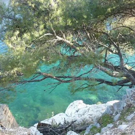 Oison Lejlighed Cassis