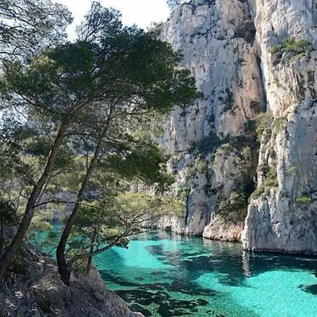 Oison Cassis